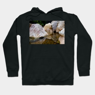 eli reflections Hoodie